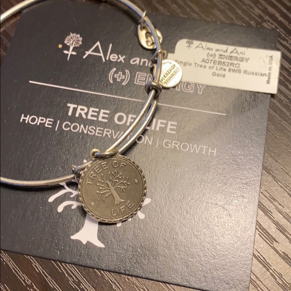 Alex and Ani bracelet